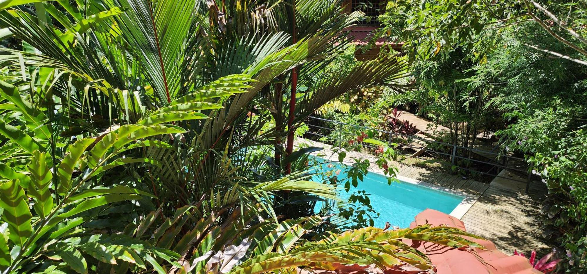Boutique Hotel Y Spa Tangara Azul Ojochal Kültér fotó