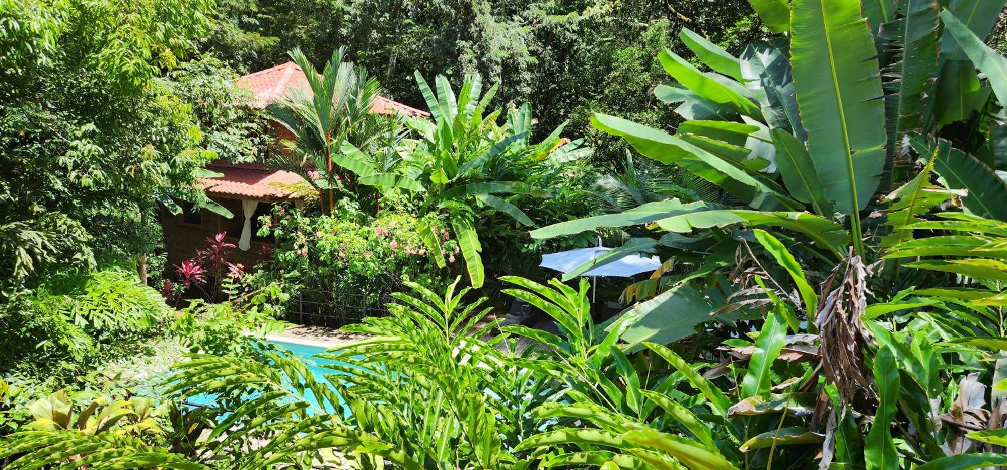Boutique Hotel Y Spa Tangara Azul Ojochal Kültér fotó